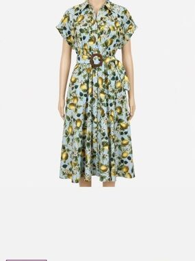 NWT Zara Lemon Print Shirt Dress with Belt - Blue/Yellow Size Small